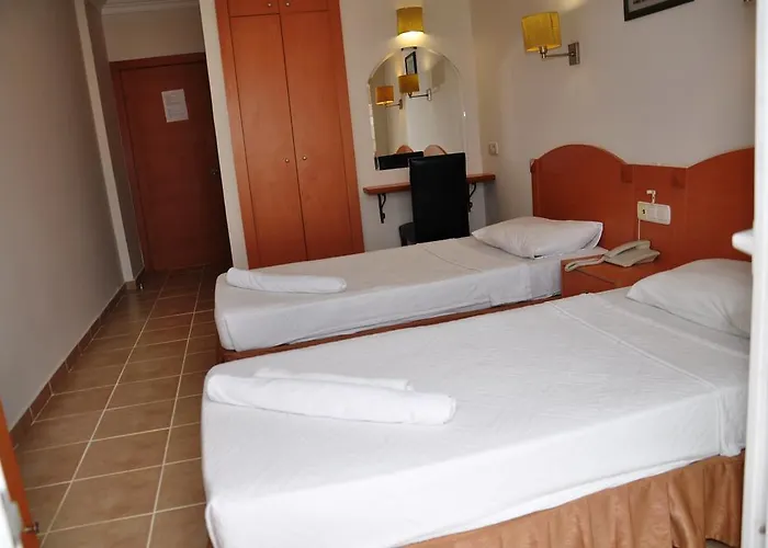 ホテル Blue Park Armutalanı