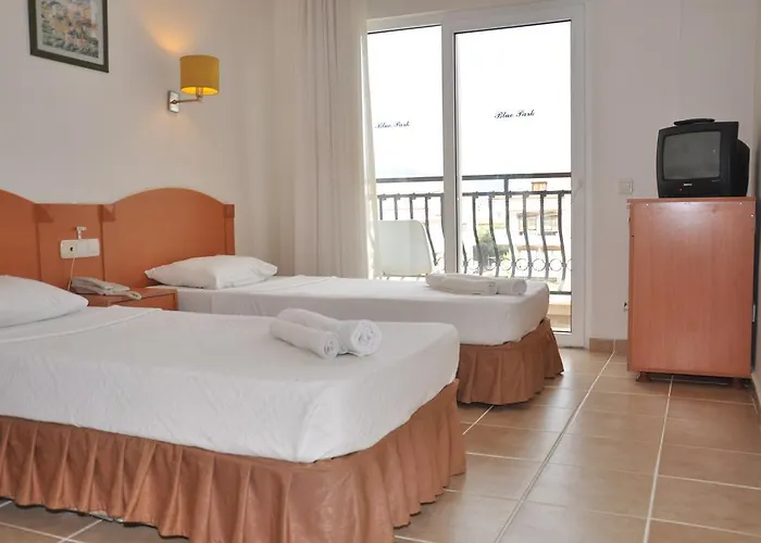 ホテル Blue Park Armutalanı